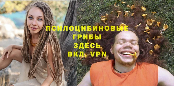 твердый Богородск