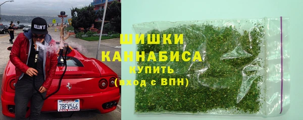 PSILOCYBIN Белокуриха