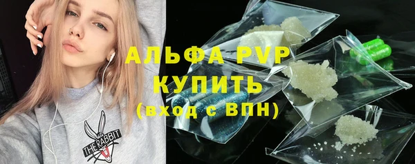 PSILOCYBIN Белокуриха