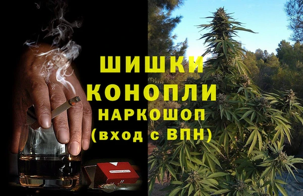 PSILOCYBIN Белокуриха
