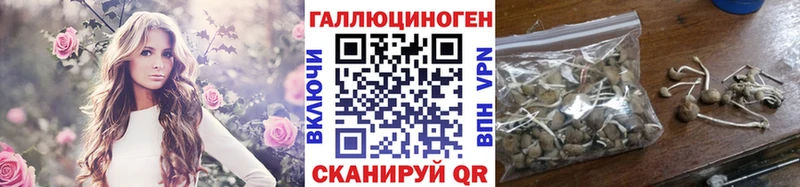 что такое наркотик Кирово-Чепецк Псилоцибиновые грибы Psilocybine cubensis